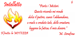 06intelletto_mitezza.png